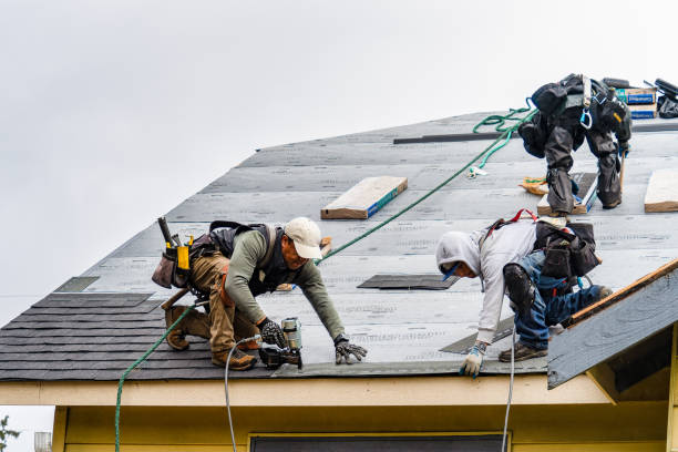 Professional Roofing technician working in Milledgeville, IL